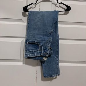 Madewell Mom Jeans, light blue, distressed, zipper closure